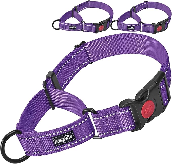 haapaw 2 Packs Martingale Dog Collar with Quick Release Buckle Reflective Dog Training Collars for Small Medium Large Dogs (Medium, Purple/Purple) haapaw