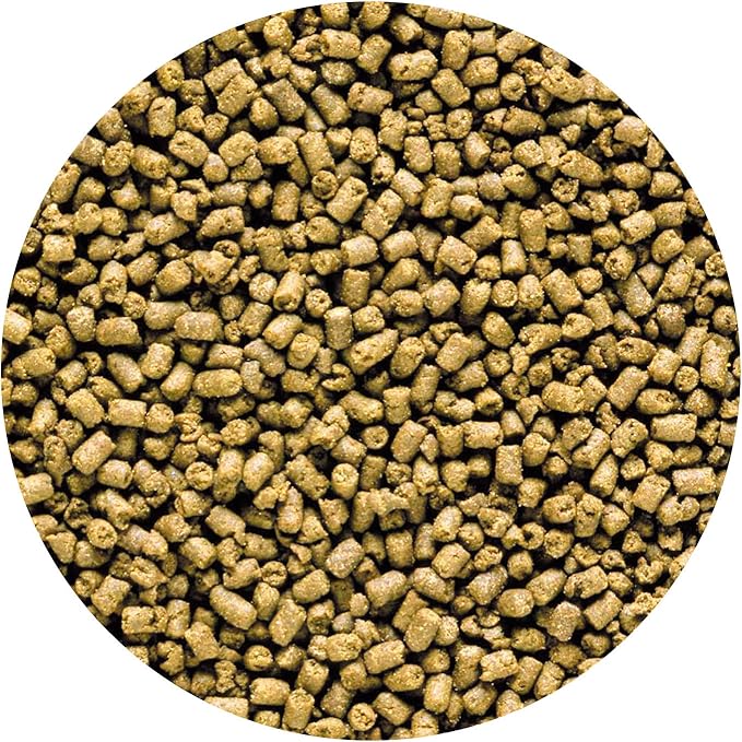 Hikari 042220 Carnivore Medium Sinking Pellets Marine Fish Food, One Size Hikari