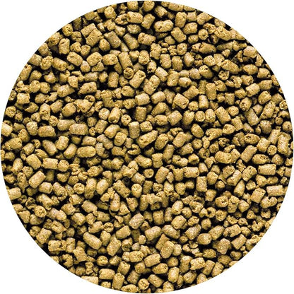 Hikari 042220 Carnivore Medium Sinking Pellets Marine Fish Food, One Size Hikari