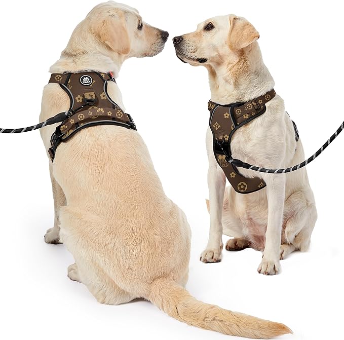 NESTROAD No Pull Dog Harness,Adjustable Oxford Dog Vest Harness with Leash,Reflective No-Choke Pet Harness with Easy Control Soft Handle for Small Dogs(Small,Dark Brown) NESTROAD