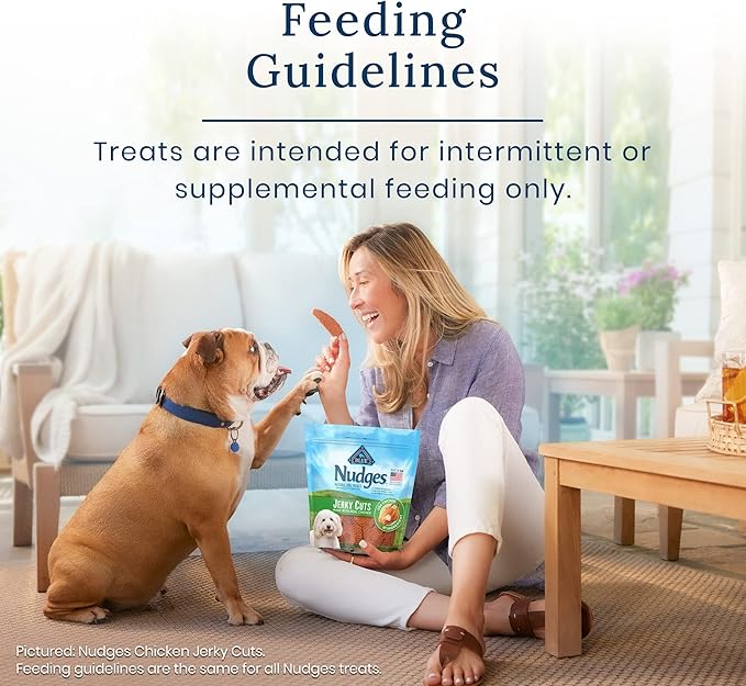Blue Buffalo Nudges Homestyle Natural Dog Treats, Chicken and Pork, 12oz Bag - PAWPICO