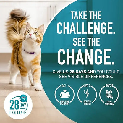 Purina ONE Natural, High Protein, Grain Free Dry Cat Food, True Instinct With Real Chicken - 3.2 lb. Bag - PAWPICO