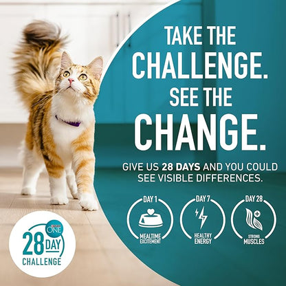 Purina ONE Natural, High Protein, Grain Free Dry Cat Food, True Instinct With Real Chicken - 3.2 lb. Bag - PAWPICO