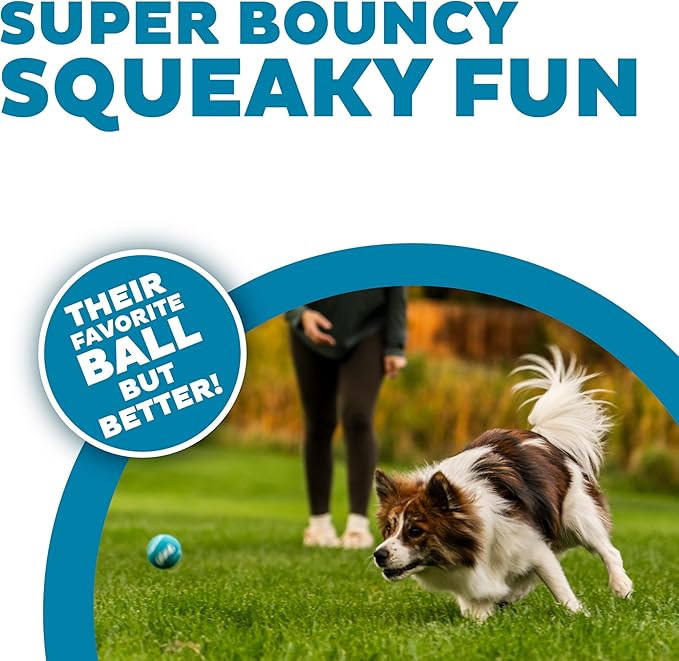 Outward Hound Squeaker Ballz Fetch Dog Toy, Small- 4 Pack - PAWPICO
