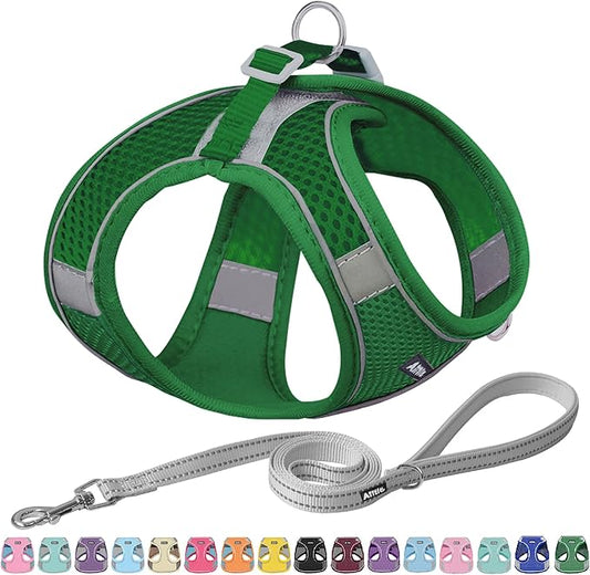 AIITLE Dog Harness, Spring No-Pull Cat Harness with a Leash, Adjustable Reflective Dog Vest, Cat Harness Escape Proof, Outdoor Walking, Camping for Extra Small Dogs and House Cats Green XXXS AIITLE-FORPETSBETTERLIFE