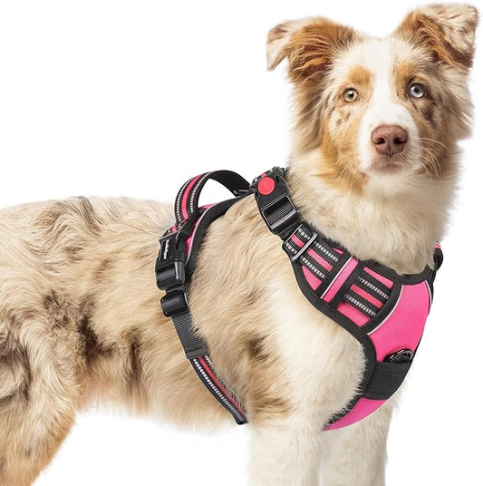rabbitgoo Dog Harness Medium Sized, No Pull Pet Harness with 3 Buckles, Adjustable Soft Padded Pooch Vest with Instant Control Handle, Easy Walking Reflective Pet Vest for Medium Dogs, Rose Pink, M rabbitgoo