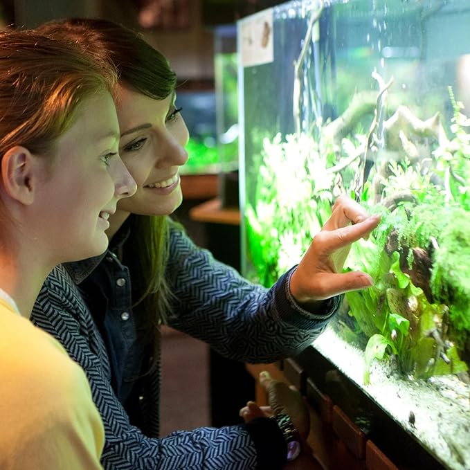 BELMAKS Set of 2 Clear Acrylic Fish Tank LED Light Holder Aquarium Lamp Hanging Aquarium Fixtures Support Stands Box Aquatic Fish Tank Lighting Tools 2PCS BELMAKS