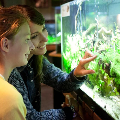 BELMAKS Set of 2 Clear Acrylic Fish Tank LED Light Holder Aquarium Lamp Hanging Aquarium Fixtures Support Stands Box Aquatic Fish Tank Lighting Tools 2PCS BELMAKS