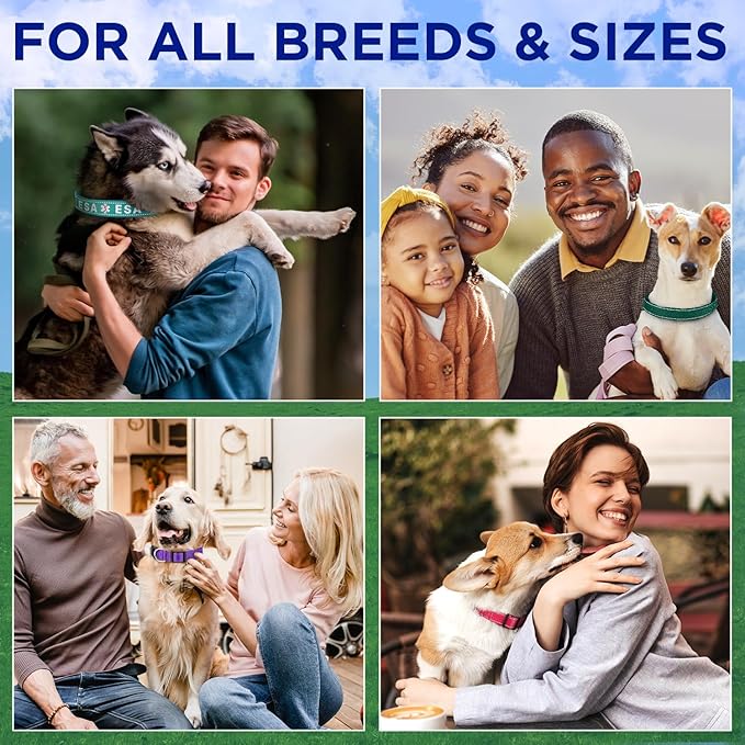 TECEUM Reflective Pet Collar – Sky Blue – XXS – Basic Nylon Dog Collar – Quick Release Buckle – Fits Small, Medium and Large Dogs, Puppies, Cats – ESA & Service Dog Options TECEUM