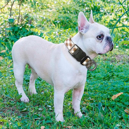 Reflective Dog Collar Padded with Soft Neoprene Breathable Adjustable Nylon Dog Collars for Small Medium Large Dogs (Medium (Pack of 1), Vanilla Plaid Collar+Leash) ladoogo
