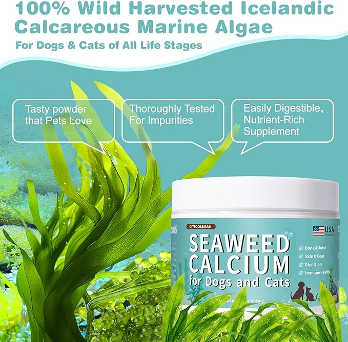 Seaweed Calcium for Dogs, Calcium for Dogs, Cats, Supports Joint, Teeth and Bone Health, High Digestibility Dog Calcium, Pure Clean Icelandic Calcium Powder for Dogs, Tested for Purity, 12 Oz DIYTOOLSMAN