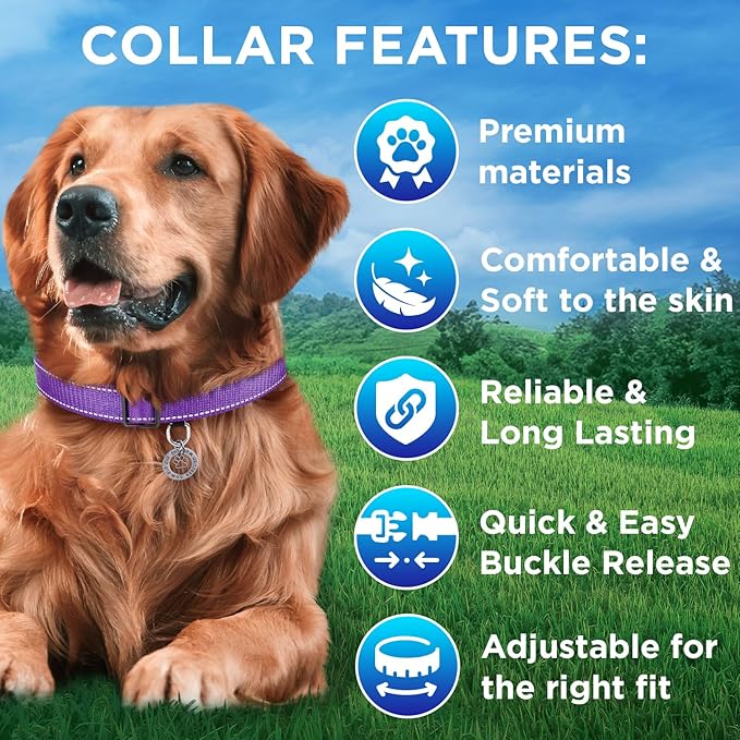 TECEUM Reflective Pet Collar – Purple – XL – Basic Nylon Dog Collar – Quick Release Buckle – Fits Small, Medium and Large Dogs, Puppies, Cats – ESA & Service Dog Options TECEUM
