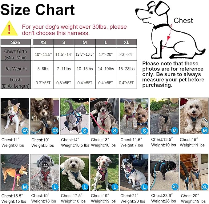 Dog Harness Step-in Breathable Puppy Cat Dog Vest Harnesses for Small Medium Dogs Beige - PAWPICO