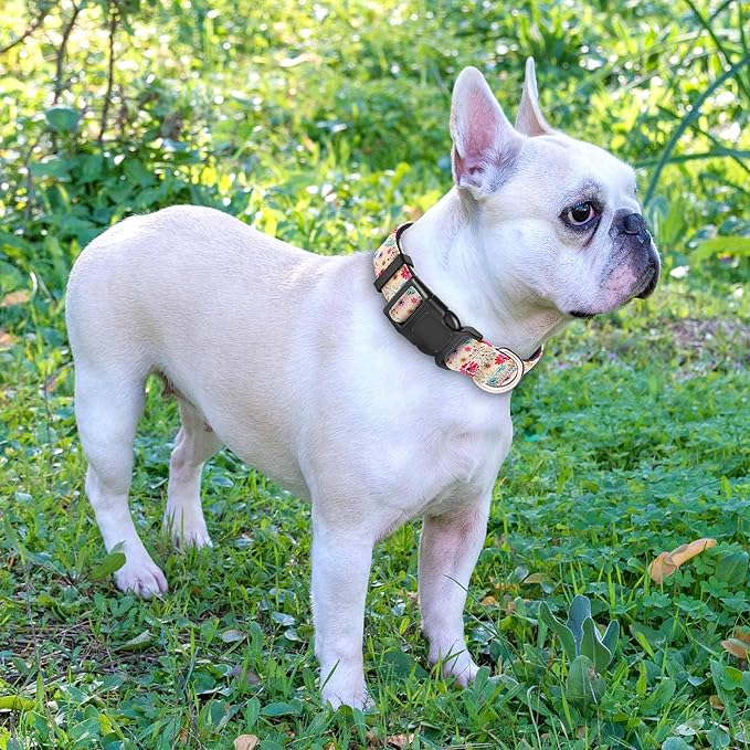 Reflective Dog Collar Padded with Soft Neoprene Breathable Adjustable Nylon Dog Collars for Small Medium Large Dogs (Small (Pack of 1), Vanila/Pink Floral Collar+Leash) ladoogo