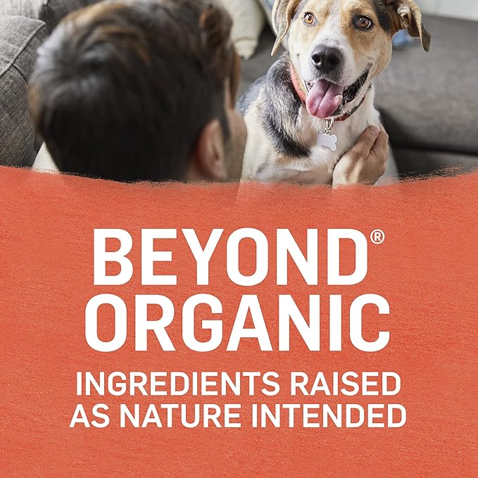 Purina Beyond Organic Wet Dog Food, Organic Chicken & Sweet Potato Adult Recipe Ground Entrée With Broth - (Pack of 12) 13 oz. Cans - PAWPICO