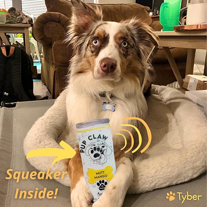 Nestpark Pup Claw Dog Toys - Funny Cute Plush Dog Toys with Squeaker - Parody (2 Pack) (Tropical Pack) - PAWPICO