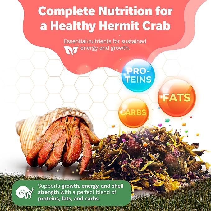 Snout and Shell - Bugs and Blooms Hermit Crab Food - 1 oz - 30 Grams - Whole Food Diet for Hermit Crabs - Seeds, Bugs and More SNOUTANDSHELL