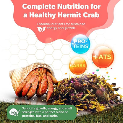 Snout and Shell - Bugs and Blooms Hermit Crab Food - 1 oz - 30 Grams - Whole Food Diet for Hermit Crabs - Seeds, Bugs and More SNOUTANDSHELL