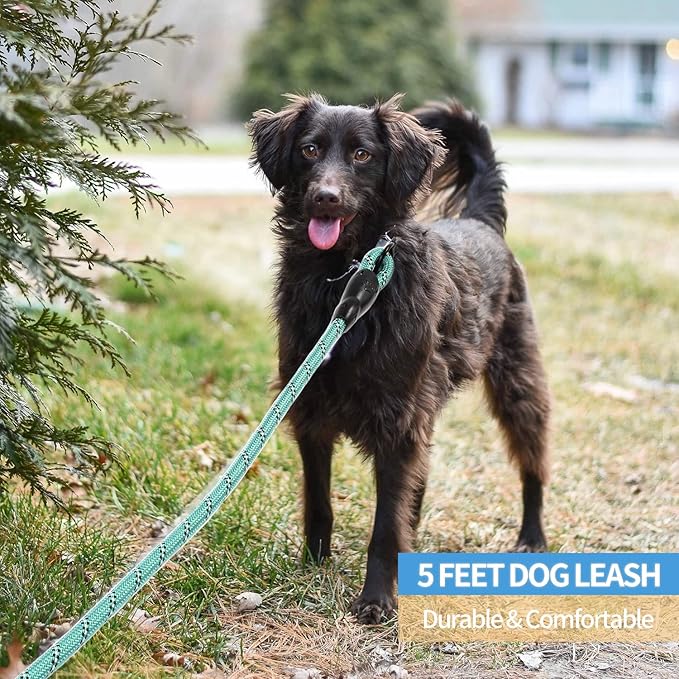 BAAPET 2/4/5/6 FT Dog Leash with Comfortable Padded Handle and Highly Reflective Threads for Small Medium and Large Dogs (5FT-1/2'', Turquoise) - PAWPICO