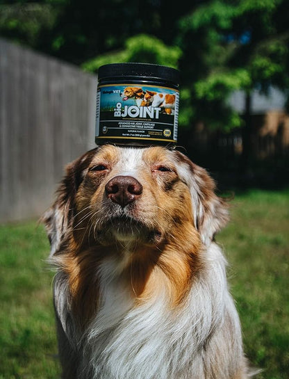 BioJOINT Advanced Joint Mobility Support, Advanced Hip, Joint, Cartilage & Connective Tissue Support, 40-Day Supply for 20-lb. Animal, 7-oz. Powder FloraHealth