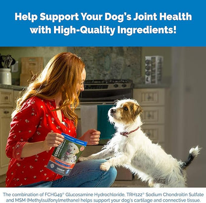Nutramax Laboratories Cosequin Maximum Strength Joint Health Supplement for Dogs - With Glucosamine, Chondroitin, and MSM, 60 Chewable Tablets NutramaxLaboratories