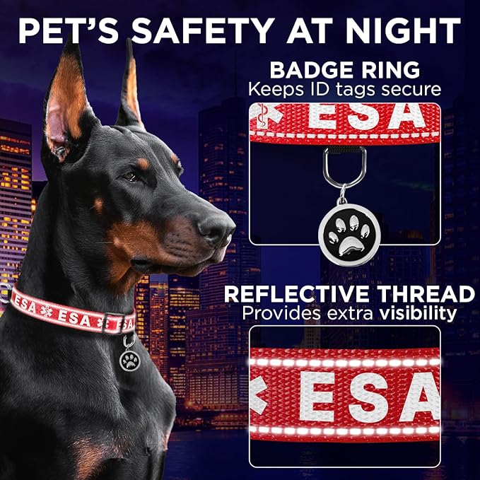 TECEUM Reflective Pet Collar – Red - ESA – M – Basic Nylon Dog Collar – Quick Release Buckle – Fits Small, Medium and Large Dogs, Puppies, Cats – ESA & Service Dog Options TECEUM