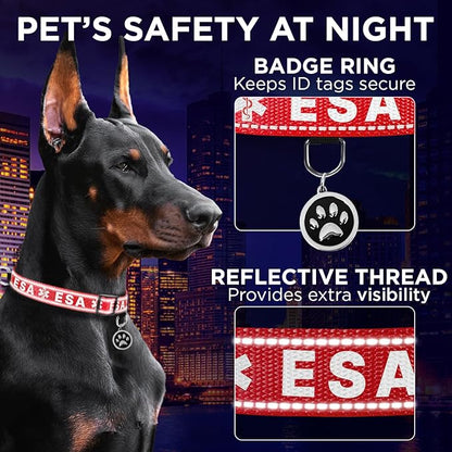 TECEUM Reflective Pet Collar – Red - ESA – M – Basic Nylon Dog Collar – Quick Release Buckle – Fits Small, Medium and Large Dogs, Puppies, Cats – ESA & Service Dog Options TECEUM