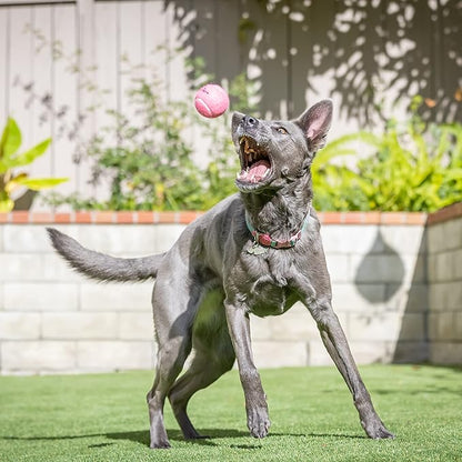Hyper Pet Tennis Balls for Dogs (Pet Safe Dog Tennis Ball for Exercise and Training, Interactive Toys work with Hyper Pet K9 Kannon K2 Launcher - 4 Pack 2.5" Pink - PAWPICO