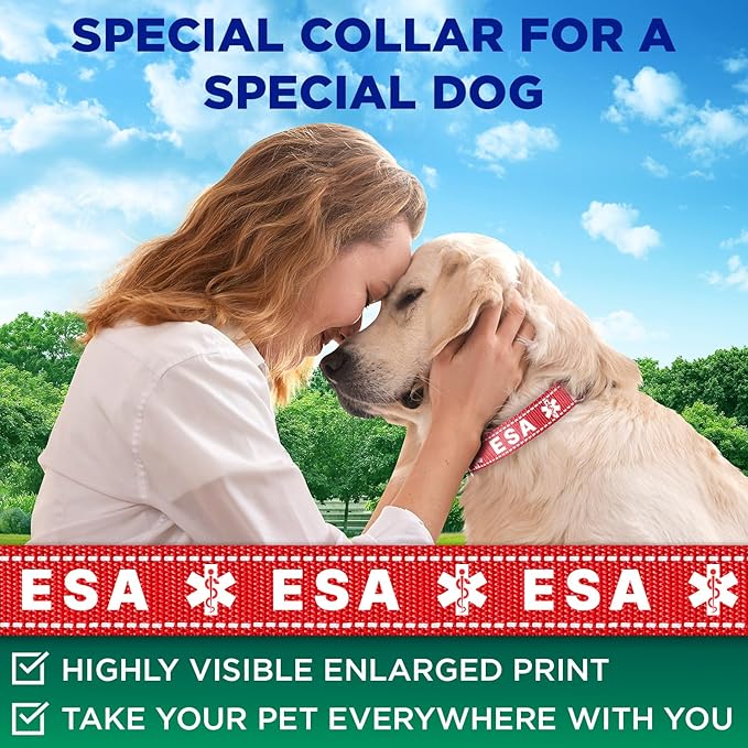 TECEUM Reflective Pet Collar – Red - ESA – M – Basic Nylon Dog Collar – Quick Release Buckle – Fits Small, Medium and Large Dogs, Puppies, Cats – ESA & Service Dog Options TECEUM