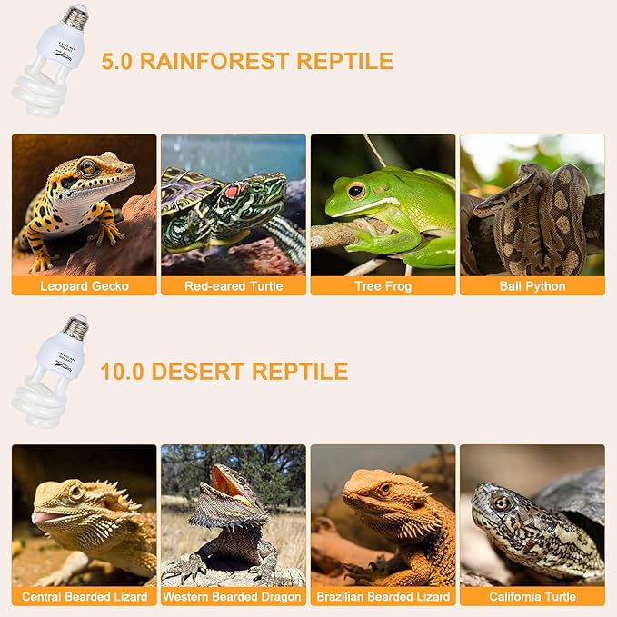 UVB Bulb for Reptiles, 10.0 18W UVA UVB Reptile Light Bulb, UVB Light for Desert Reptiles, Reptile Light Bulb for Common Bearded Dragon, Ponoga Barbata, Red-Eared Slider,Russian Tortoise PAWPICO