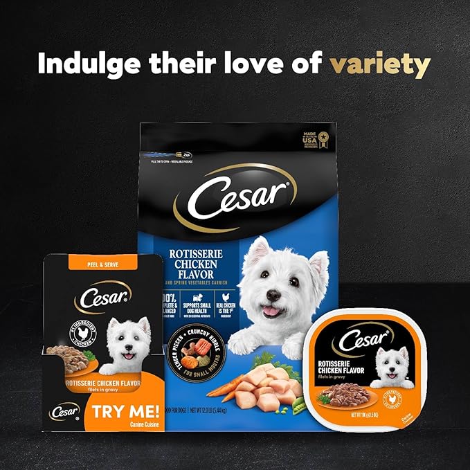 Cesar Filets in Gravy Wet Dog Food Rotisserie Chicken Flavor, 1.76 oz. Mini-Pouch, 20 Pack - PAWPICO
