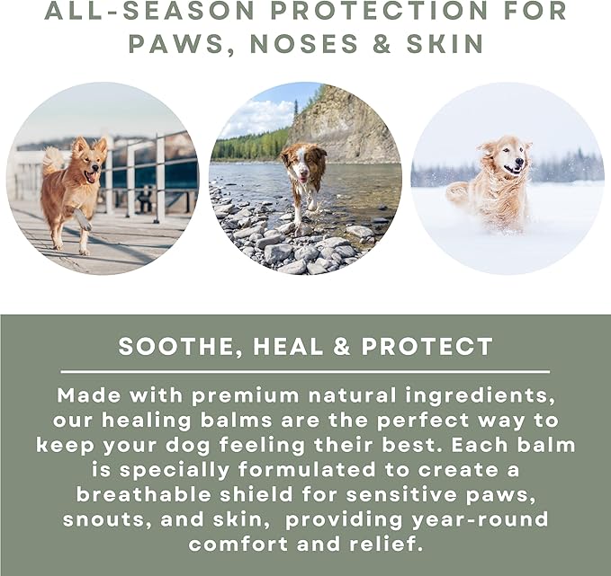 Dog Care Kit - Healing Dog Paw Pad Balm + Snout Soother for Dogs + Skin Soother - Relieves Pain, Nourishes and Heals - For Dry, Irritated Paws, Noses and Skin - Lick-Safe - Made in the USA RhinoWax