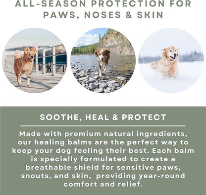 Dog Care Kit - Healing Dog Paw Pad Balm + Snout Soother for Dogs + Skin Soother - Relieves Pain, Nourishes and Heals - For Dry, Irritated Paws, Noses and Skin - Lick-Safe - Made in the USA RhinoWax
