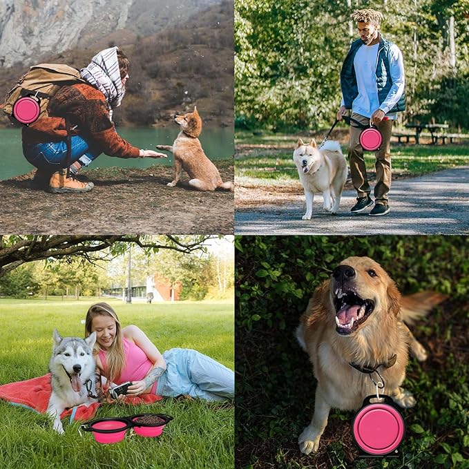 Collapsible Silicone Cat and Dog Travel Bowls,2 in 1 Foldable Pet Feeding and Watering Dish for Walking Camping Hiking with Carabiner (Rose Red) - PAWPICO