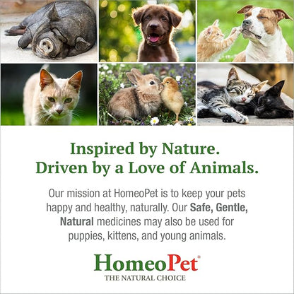 HomeoPet Feline Nose Relief, Natural Nasal and Sinus Medicine for Cats, Pet Medicine, 15 Milliliters HomeoPet