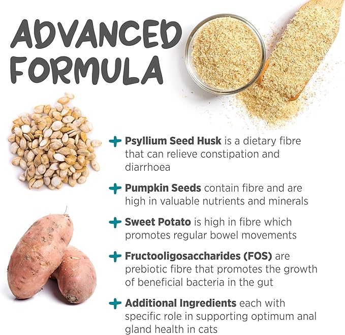 maxxiscoot Anal Gland & Digestive Health Support for Cats - Powder Supplement, 3.2oz maxxipaws