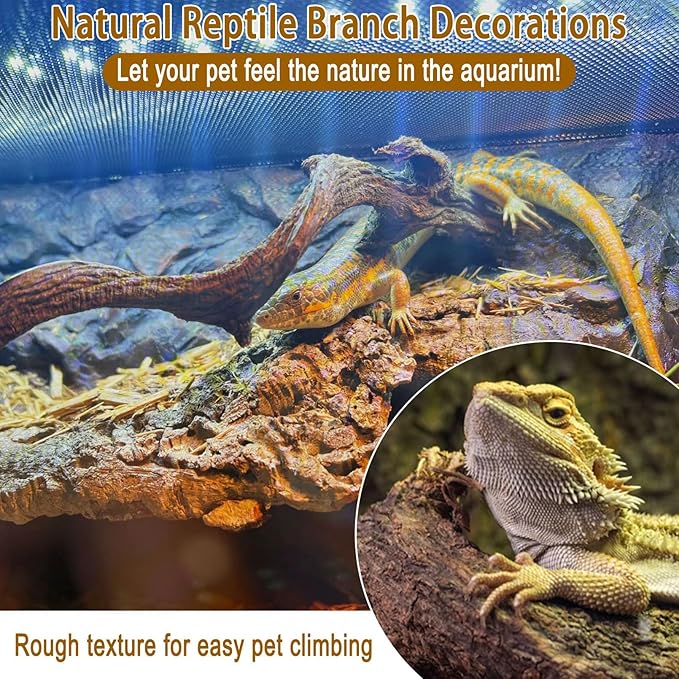 Reptile Decor Natural Forest Branch Terrarium Habitat Decoration Lizard Climbing Tree Branch for Bearded Dragon Gecko Snake Frog Chameleon Spider 8PCS BNOSDM