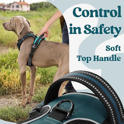rabbitgoo Dog Harness Medium Sized, No Pull Pet Harness with 3 Buckles, Adjustable Soft Padded Pooch Vest with Instant Control Handle, Easy Walking Reflective Pet Vest for Medium Dogs, Blue Coral, M - PAWPICO