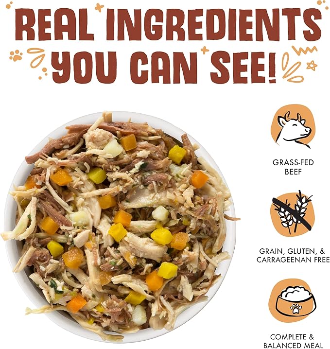 Weruva Classic Dog Food, Wok The Dog with Chicken, Beef & Pumpkin in Gravy, 5.5oz Can (Pack of 24), Brown - PAWPICO