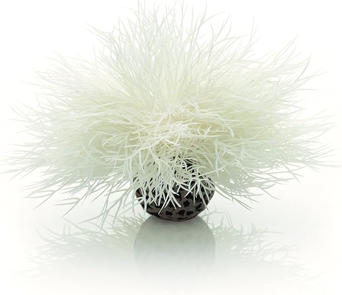 biOrb Sea Lily White biOrb