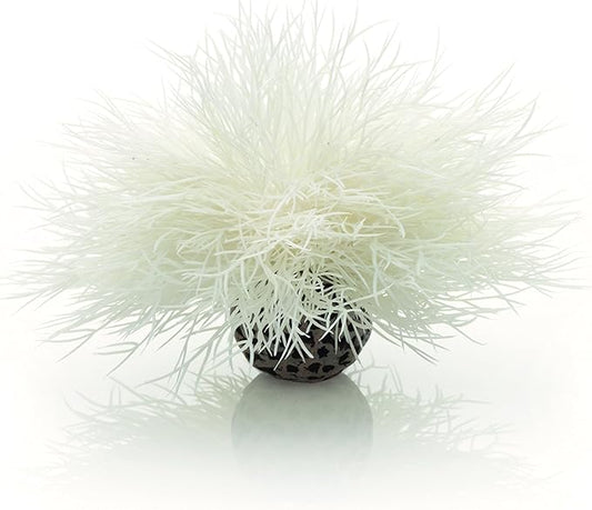 biOrb Sea Lily White biOrb