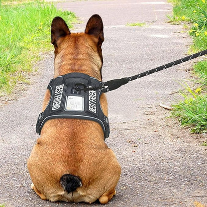 Heavy Duty Tactical Dog Harness for Small Dogs, No Pull Adjustable Pet Harness Reflective Service Training Easy Control Pet Vest Military K9 Working Dog Harnesses- Small, Black Beebielove