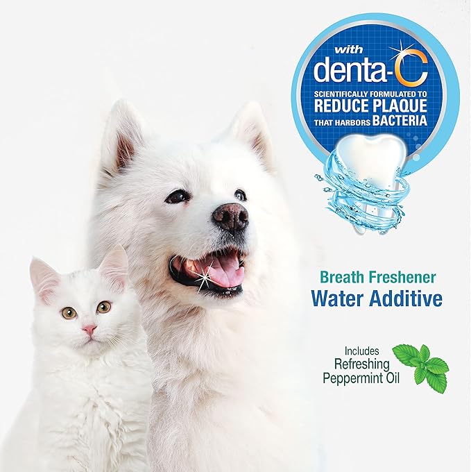 Nylabone Advanced Oral Care Cat & Dog Water Additive for Dental Care - Liquid Tartar Remover - Dog Breath Freshener & Teeth-Cleaning Liquid - Peppermint (16 oz.) Nylabone