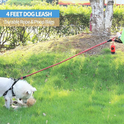 BAAPET 2/4/5/6 FT Dog Leash with Comfortable Padded Handle and Highly Reflective Threads for Small Medium and Large Dogs (4FT-1/2'', Red) BAAPET