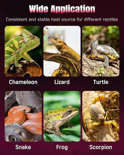 Pawfly 28 W Reptile Heat Pad 11 x 11 Inch Reptile Heating Pad Under Tank Terrarium Safe Fast Heating Mat Heat Mat for Turtles Frogs Snakes Lizards Geckos Hermit Crabs Spiders & Other Reptiles Pawfly