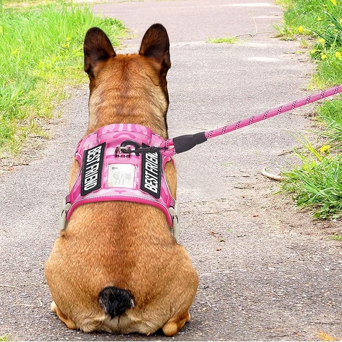 Heavy Duty Tactical Dog Harness for Medium Dogs, No Pull Adjustable Pet Harness Reflective Service Training Easy Control Pet Vest Military K9 Working Dog Harnesses- Medium, Pink Camo Beebielove