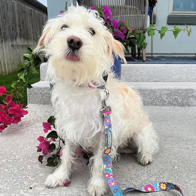 Lucky Love Dog Collars, Cute Large Dog Collars for Female Dogs, Part of Purchase Donated to Rescue (Large, Caroline, Collar) LuckyLoveDog