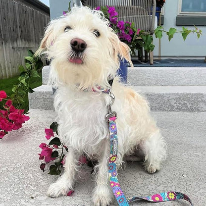 Lucky Love Dog Collars, Cute X-Small Dog Collars for Female Dogs, Part of Purchase Donated to Rescue, Caroline, Extra Small LuckyLoveDog
