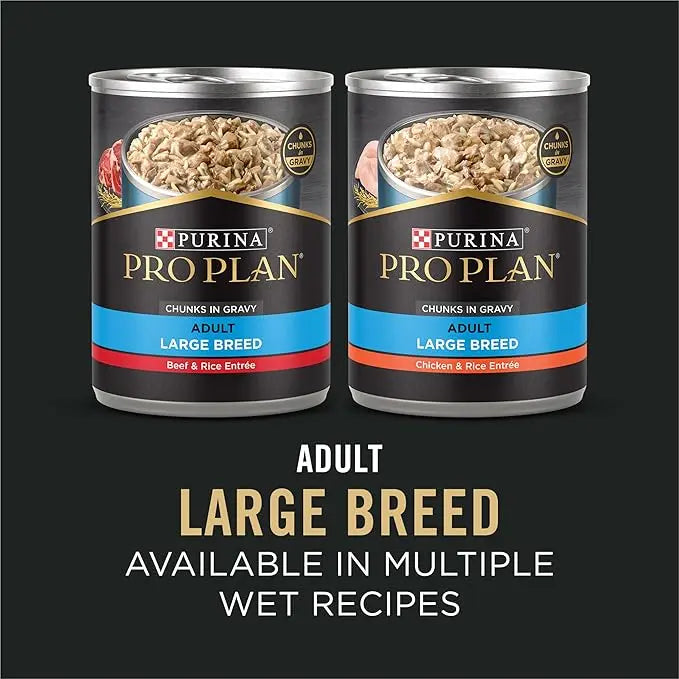 Purina Pro Plan Large Breed Dry High Protein Dog Food With Probiotics for Dogs, Beef and Rice Formula - 47 lb. Bag - PAWPICO
