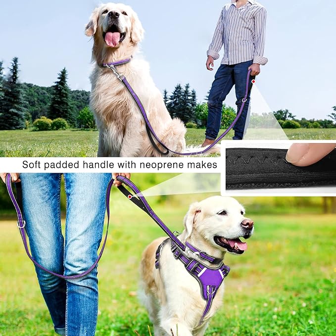 WINSEE Pet Harness Collar and Leash Set, All-in-one Reflective Dog Harness No Pull with Adjustable Buckles for Puppies, Small, Medium, Large, and Extra-Large Dogs (Large, Purple) WINSEE